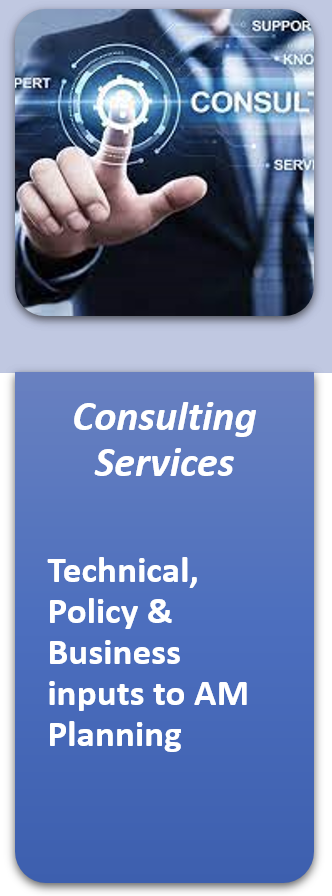 Parallax AAM Consulting 