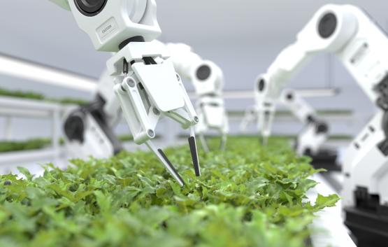 Vertical Farm - US Dept of Agriculture (Source)