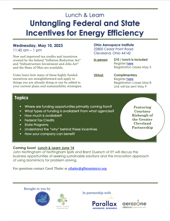 Untangling Federal and State Incentives for Energy Efficiency