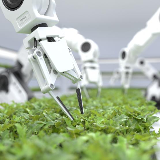 Vertical Farm - US Dept of Agriculture (Source)